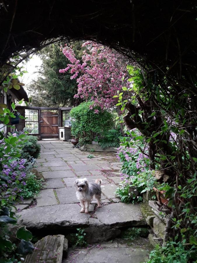 Parrs Cottage Wollaston  Dış mekan fotoğraf