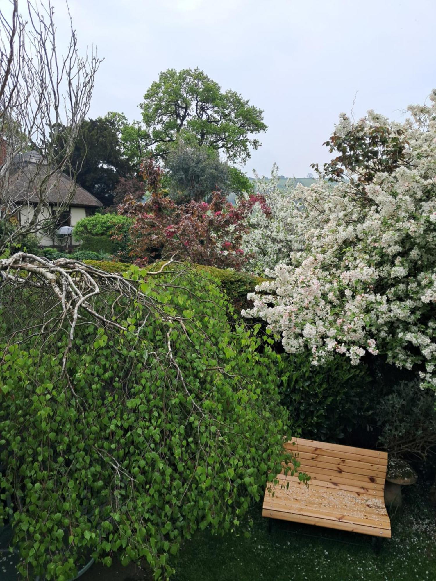 Parrs Cottage Wollaston  Dış mekan fotoğraf