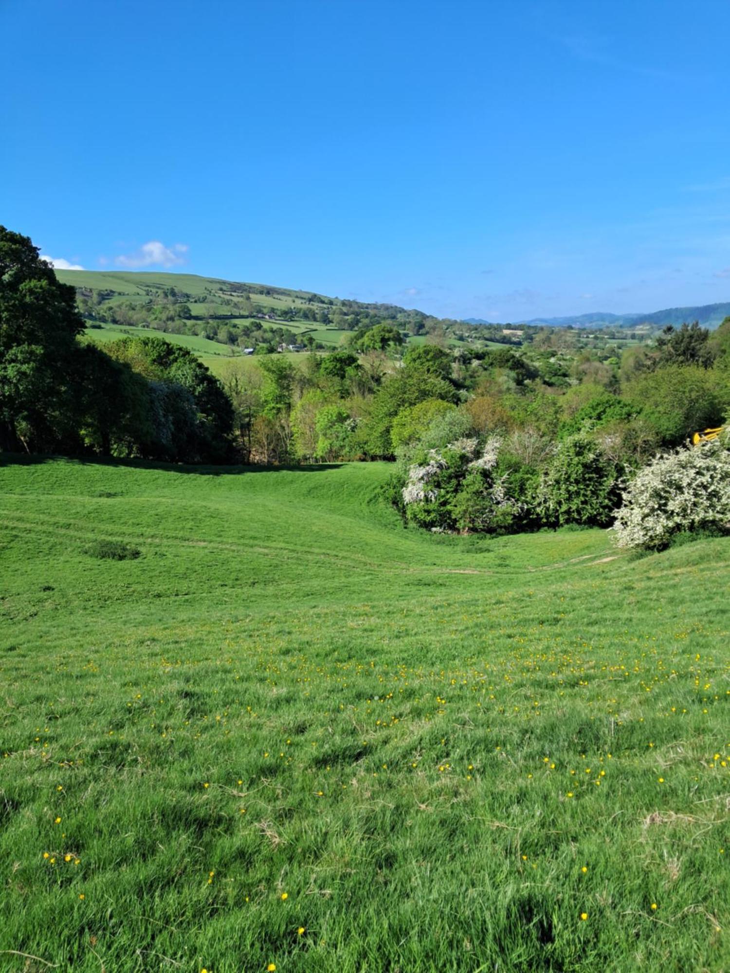 Parrs Cottage Wollaston  Dış mekan fotoğraf
